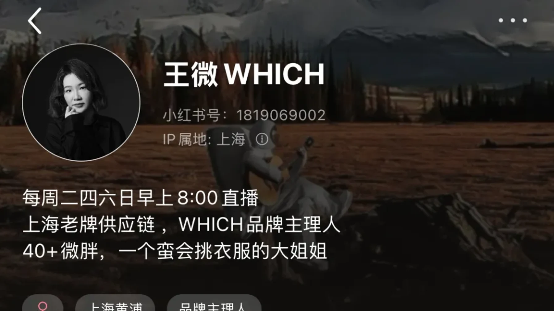 王微 WHICH 的小红书主页定位截图